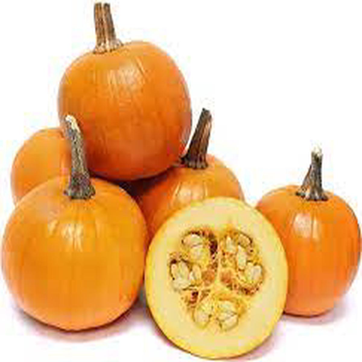 Baby Pam Pumpkin Seeds for Planting  Heirloom Non-GMO, Small Pumpkins for Pies & Decor  Organic Garden Seeds