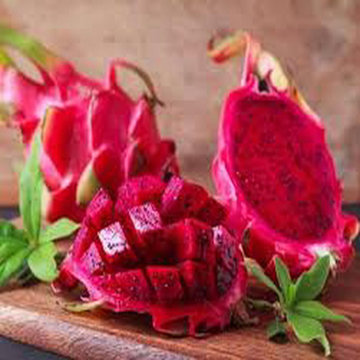 Red Dragon Fruit Seeds for Planting Non-GMO, Tropical Fruit Seeds for Home Garden