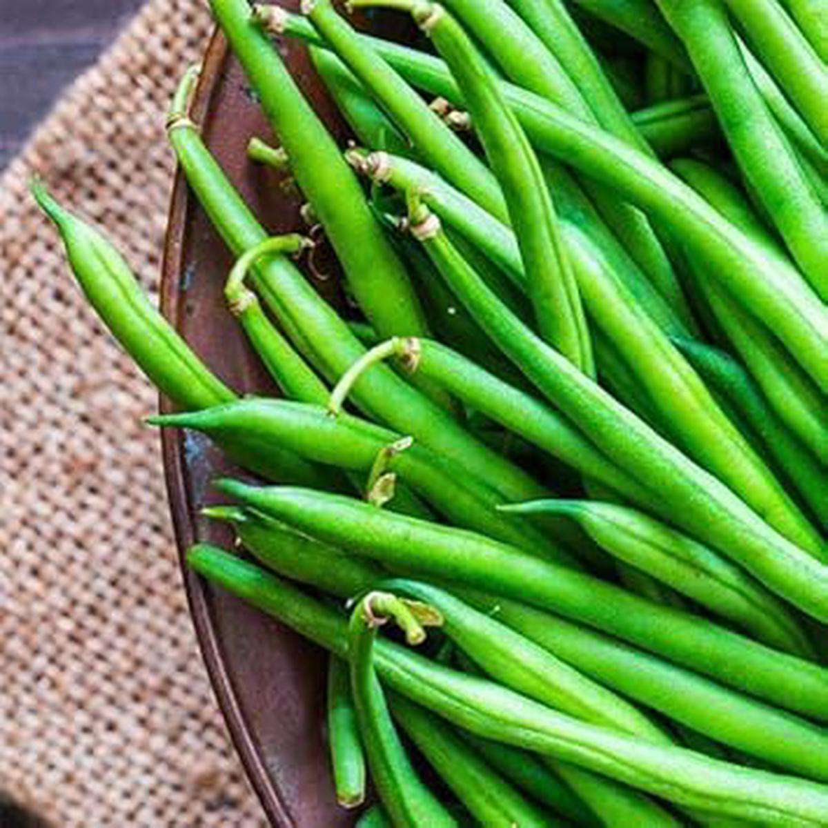 Bean Seeds for Planting  Heirloom & Non-GMO, High Germination Organic Garden Legume Seeds
