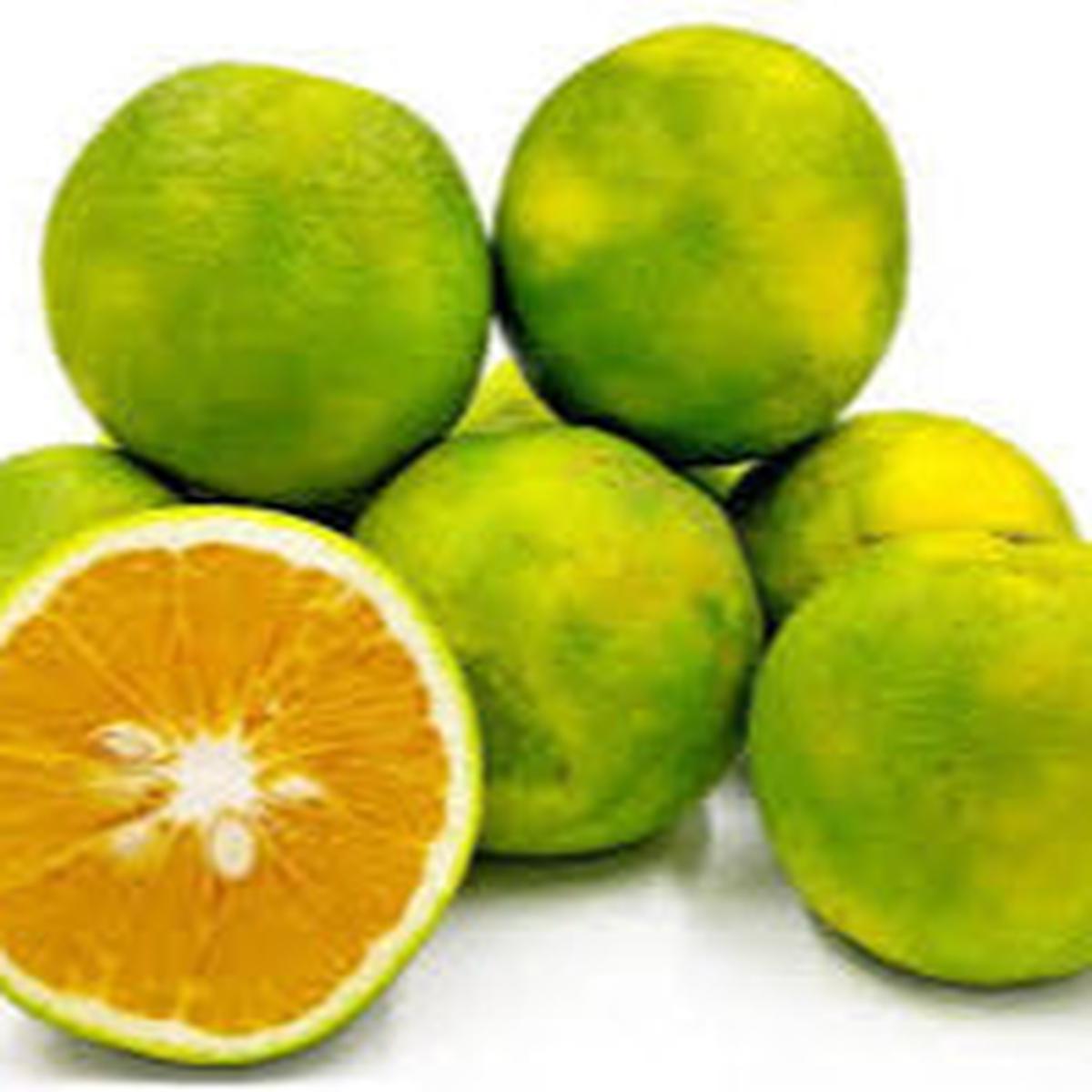 Citrus Limetta fruit seeds for planting - Heirloom & Non-GMO Garden seeds