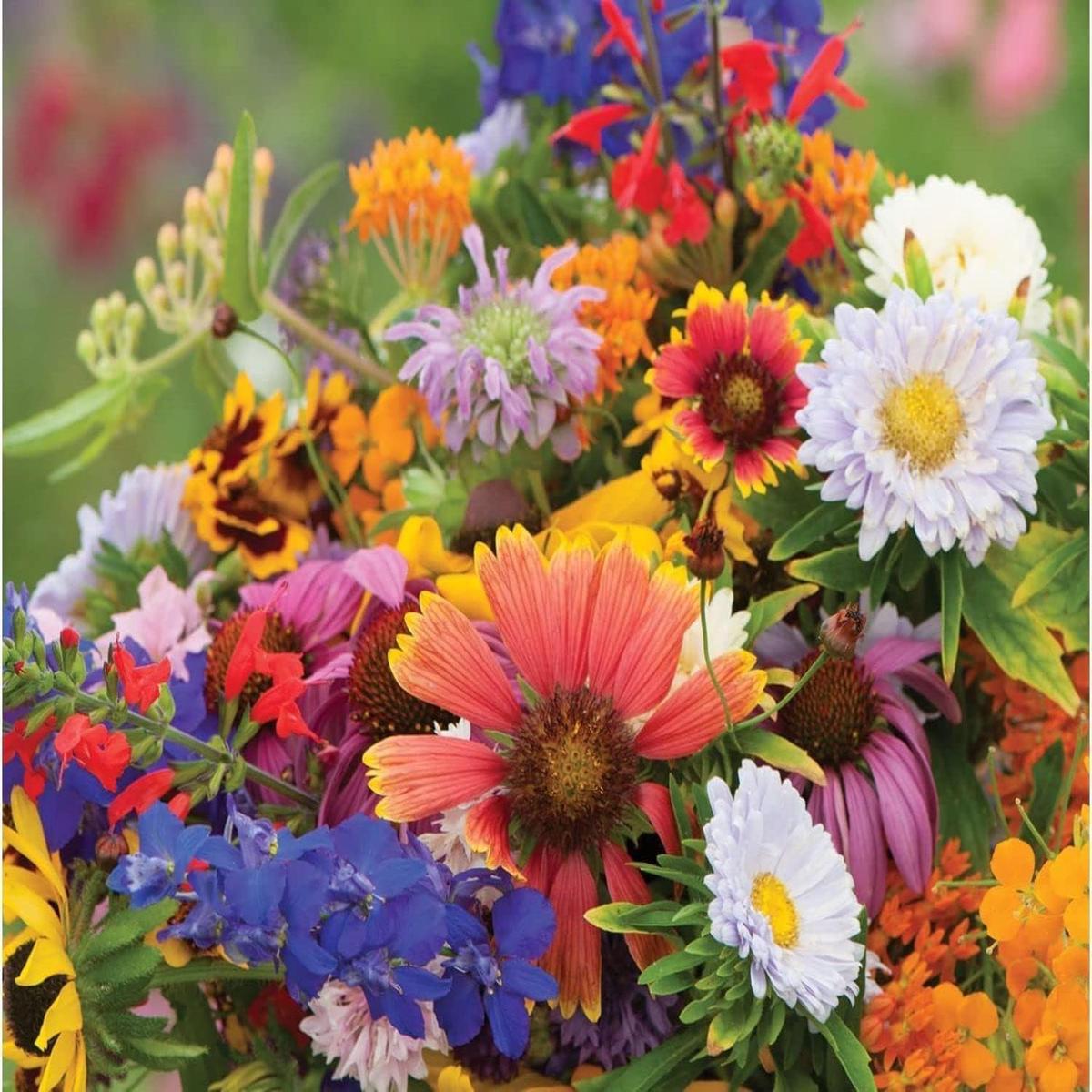 Florific Flower Seeds for Planting High-Yield, Vibrant Seasonal Blooms
