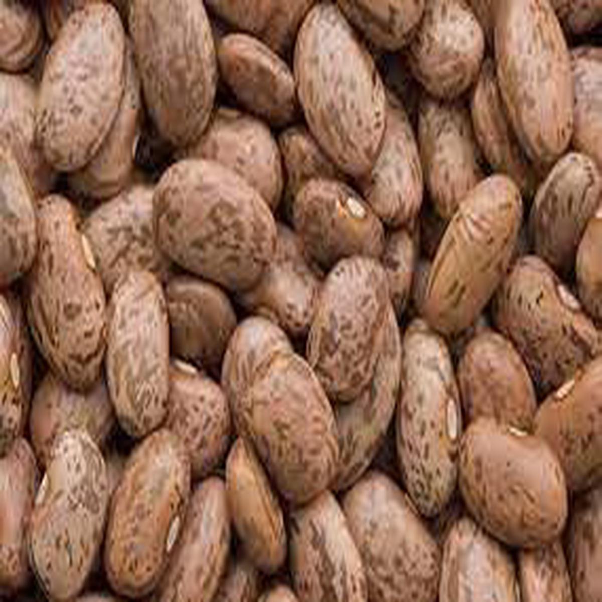 Pinto Bean Vegetable Seeds for Planting Heirloom, Non-GMO, High Germination Organic Garden Seeds