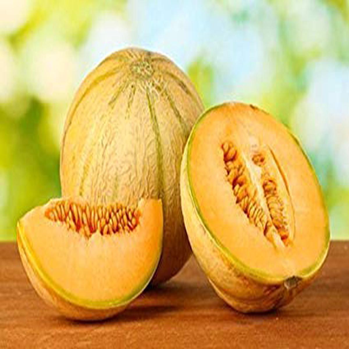 Sweet Melon fruit seeds for planting - Heirloom & Non-GMO garden seeds for refreshing summer crops