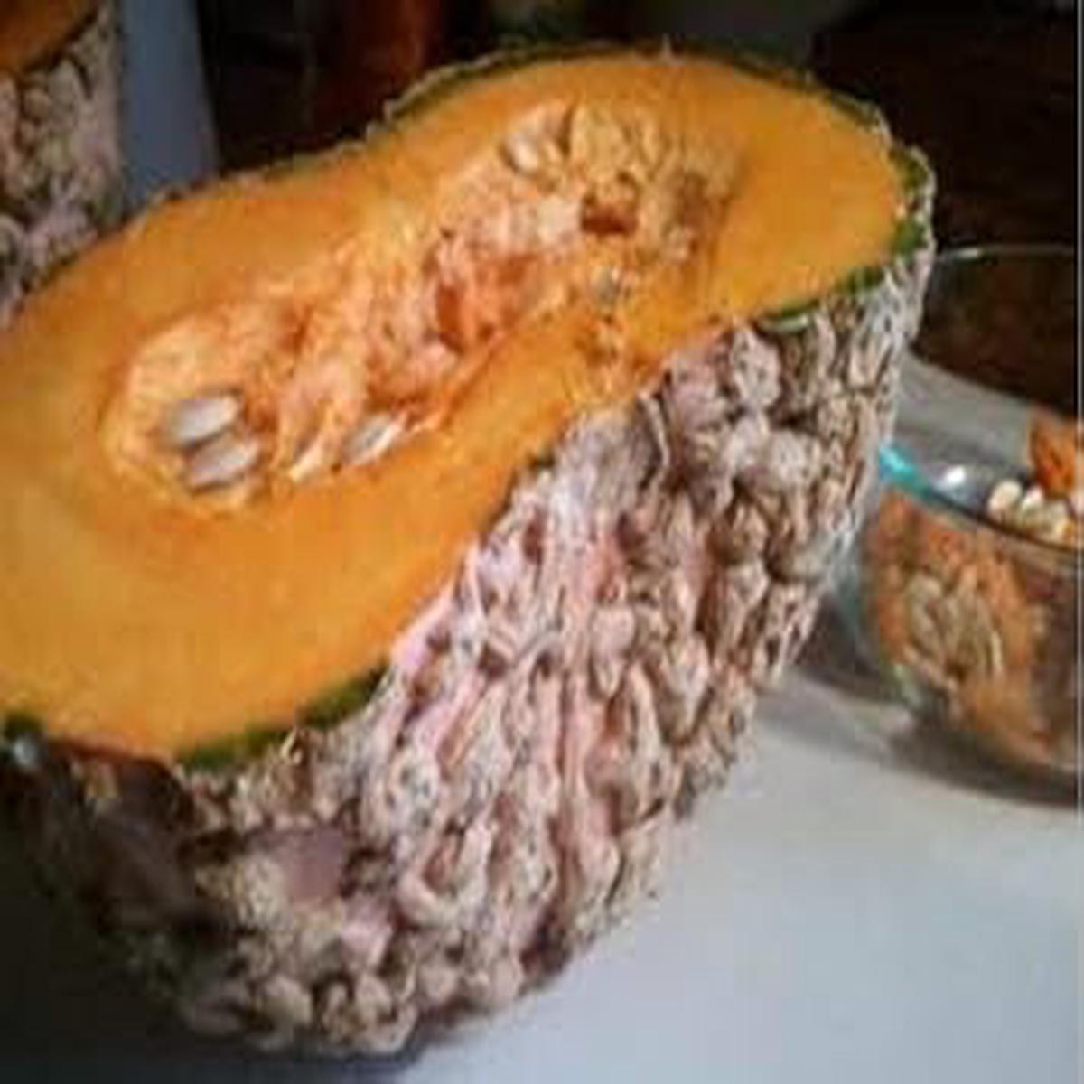 Brown Pumpkin fruit seeds for planting  Heirloom & Non-GMO hardy garden seeds