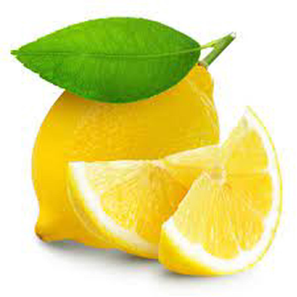 Seedless Lemon fruit seeds for planting  Heirloom & Non-GMO garden seeds, low-seed citrus for home orchards