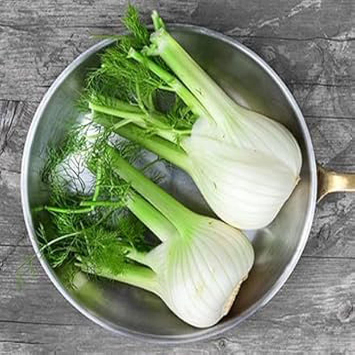Fennel Herb Seeds Heirloom, Non-GMO Seeds for Indoor & Outdoor Garden Planting