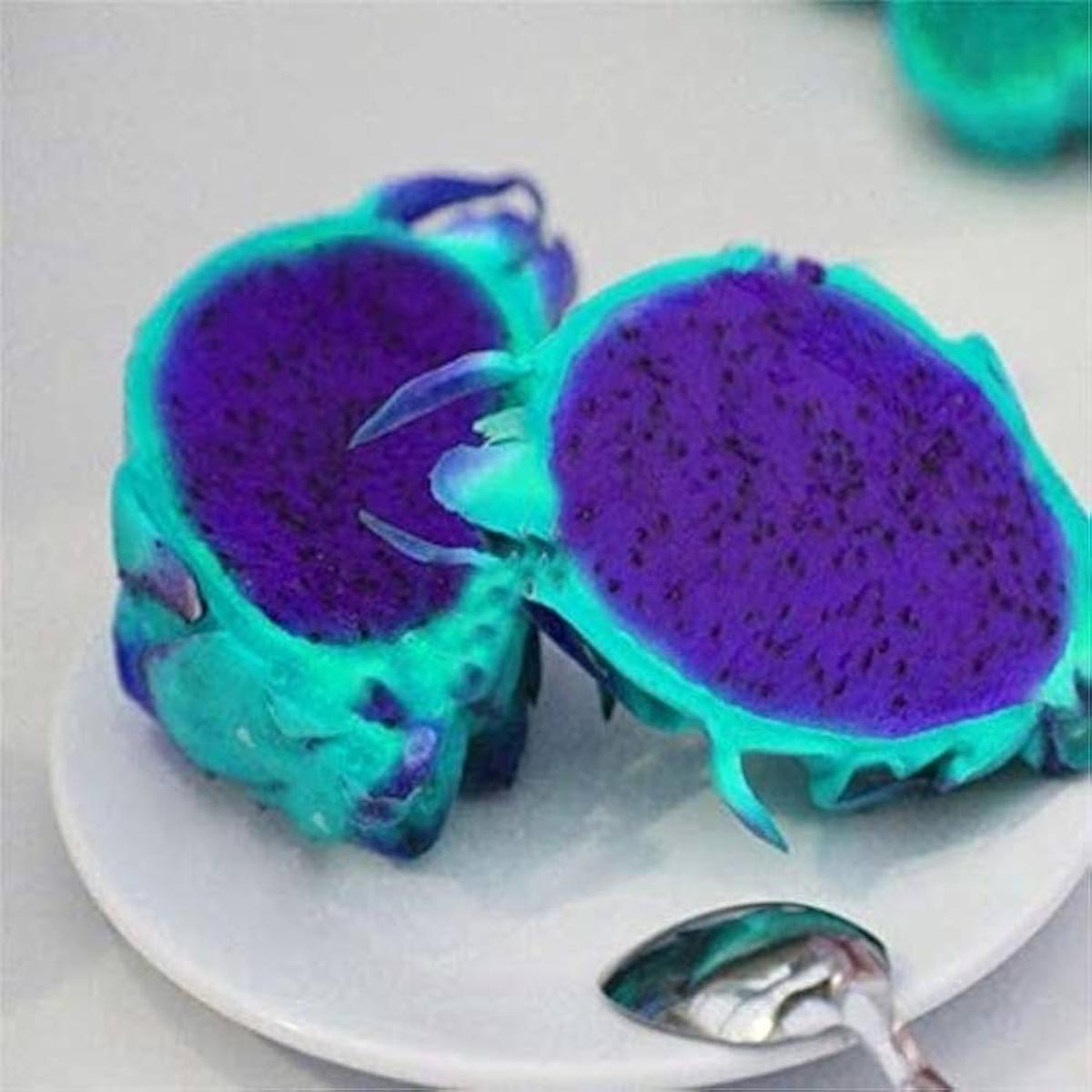 Sky Blue Pitaya Fruit seeds  Heirloom, Non-GMO seeds for Planting in Colorful Exotic Gardens
