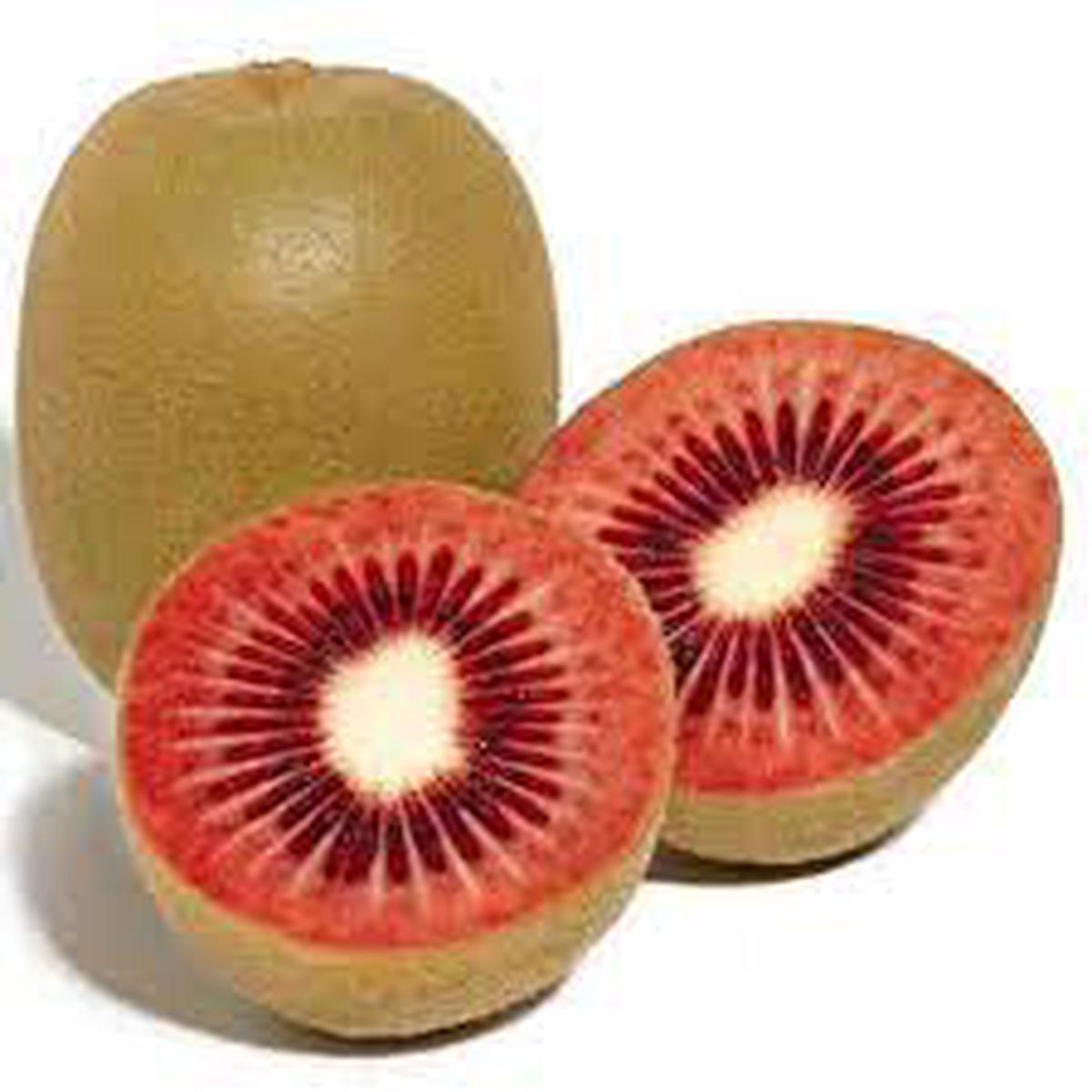 Ruby Red Kiwi fruit seeds for planting - Heirloom & Non-GMO Tropical Garden seeds