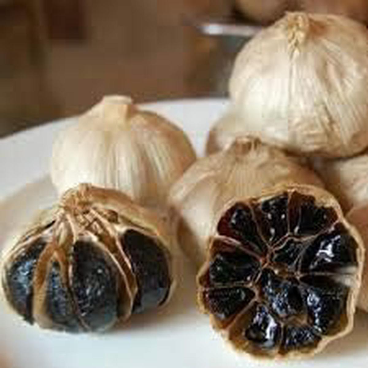 Black Garlic Seeds for Planting  Heirloom, Non-GMO, Sweet-Savory Flavor Organic Garden Seeds