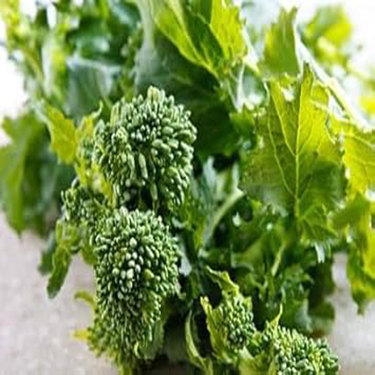 Broccoli Raab Seeds  Heirloom Non-GMO Leafy Green Vegetable Seeds for Planting, Organic Garden Seeds