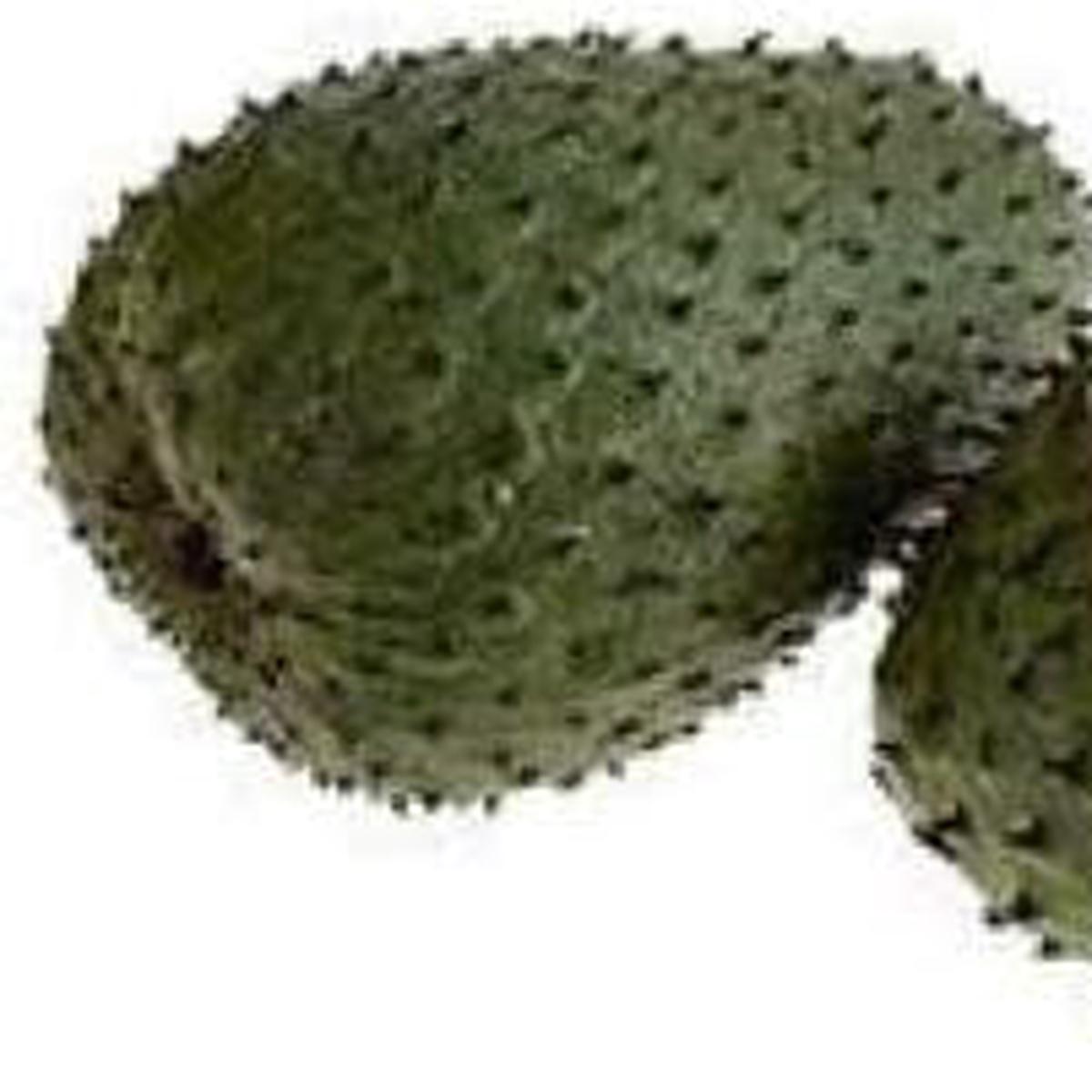Mixed Soursop fruit seeds for planting - Heirloom & Non-GMO Tropical Garden seeds