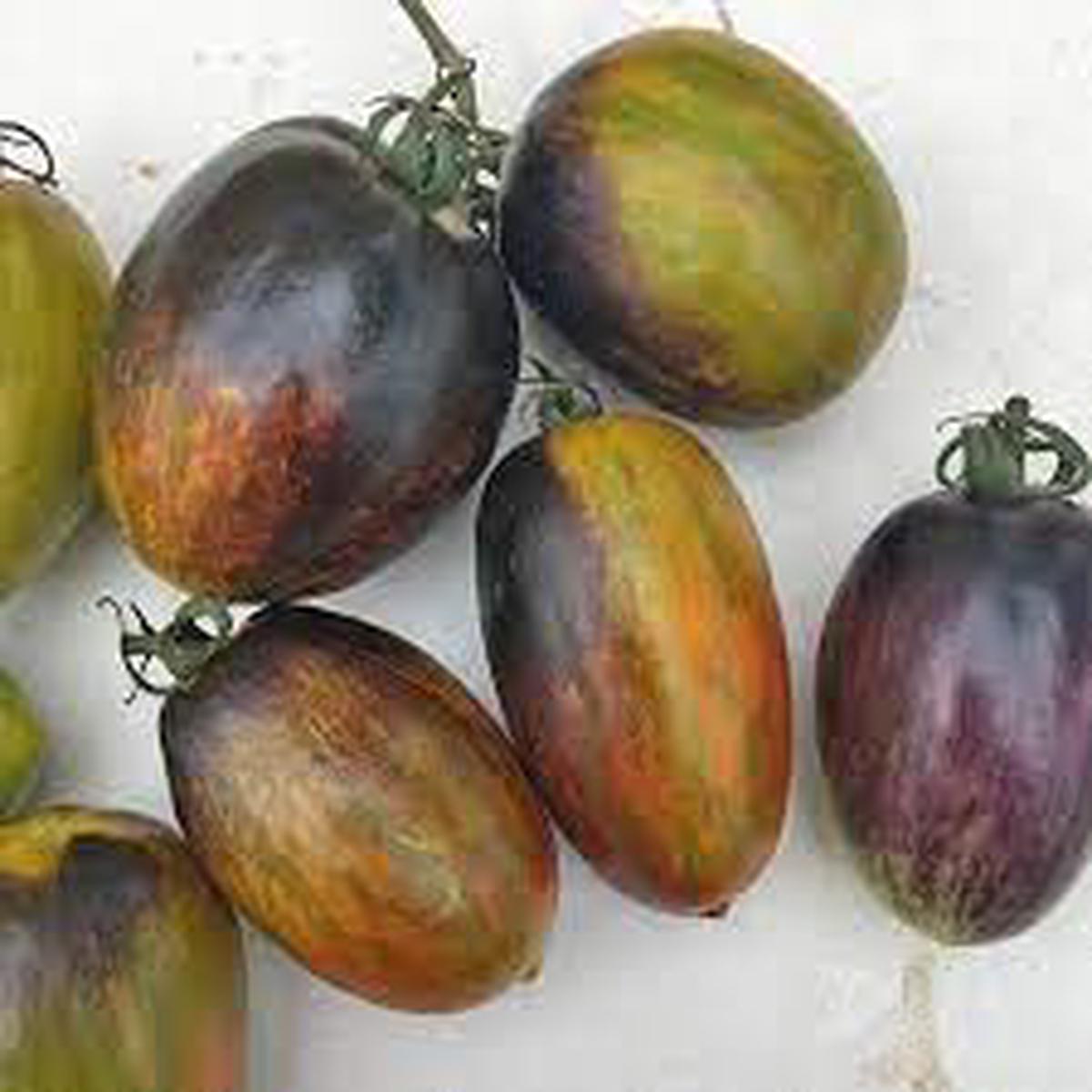 Atomic Grape Tomato Seeds for Planting  Heirloom Non-GMO Colorful Cherry Vegetable Seeds with High Germination