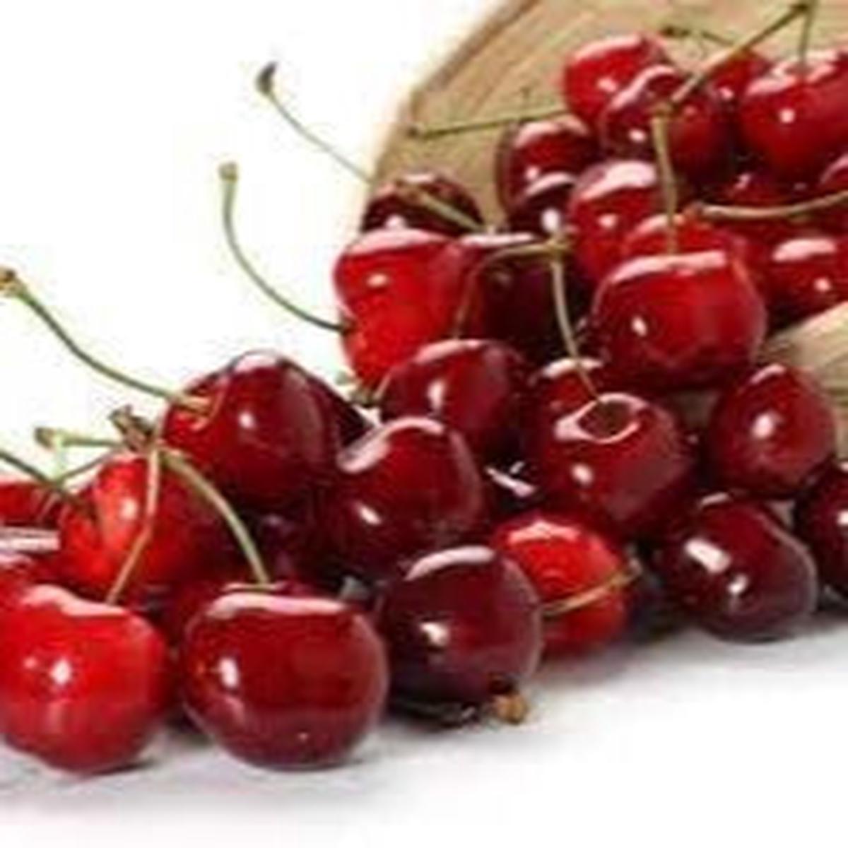 Winterberry Holly fruit seeds for planting Heirloom & Non-GMO garden seeds, festive ornamental berry variety