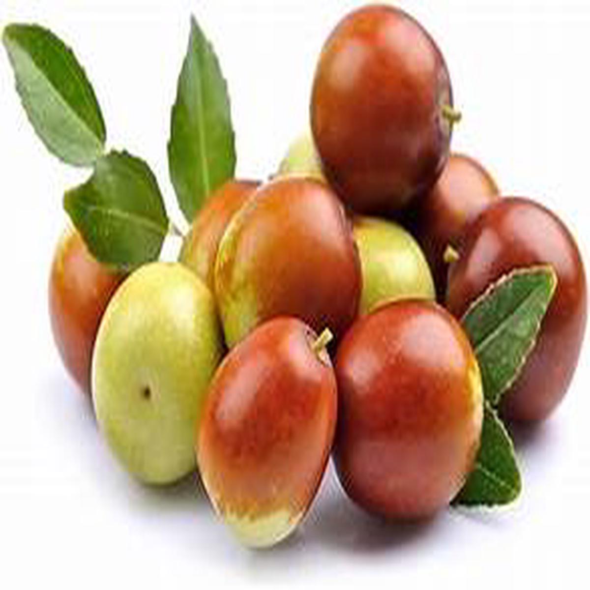 Heirloom Honey Jar Jujube Fruit Seeds Non-GMO, Crisp Fruit Seeds for Backyard Growing