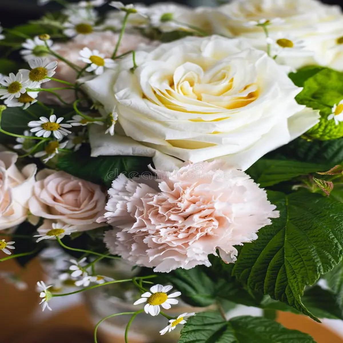 White Pretty Pastel Flower Seeds for Planting Heirloom, Non-GMO, Sun Loving, High Germination