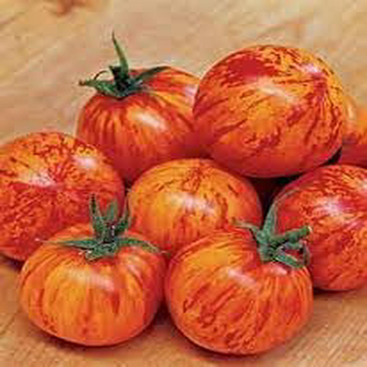 Zebra Tomato Seeds for Planting Heirloom & Non-GMO Vegetable Seeds