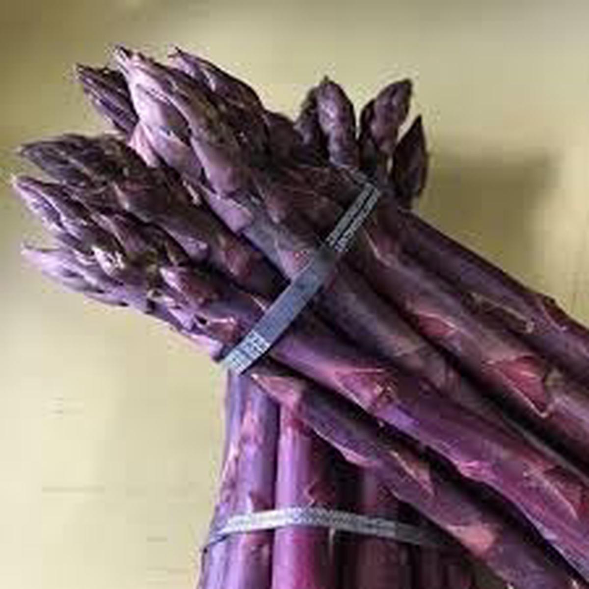 Asparagus Plant Seeds for Planting  Heirloom & Non-GMO, High Germination Organic Seeds for Perennial Vegetable Gardens
