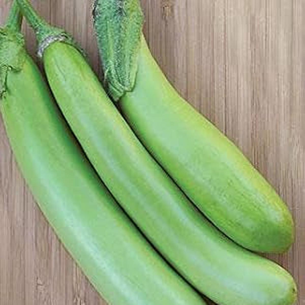 Green Eggplant fruit seeds for planting - Heirloom & Non-GMO Garden seeds