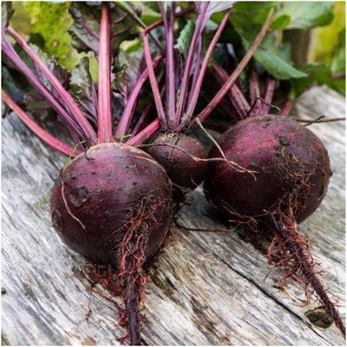 Beetroot Detroit Dark Red Seeds Heirloom, Fast-Growing, High-Yield Root Vegetable