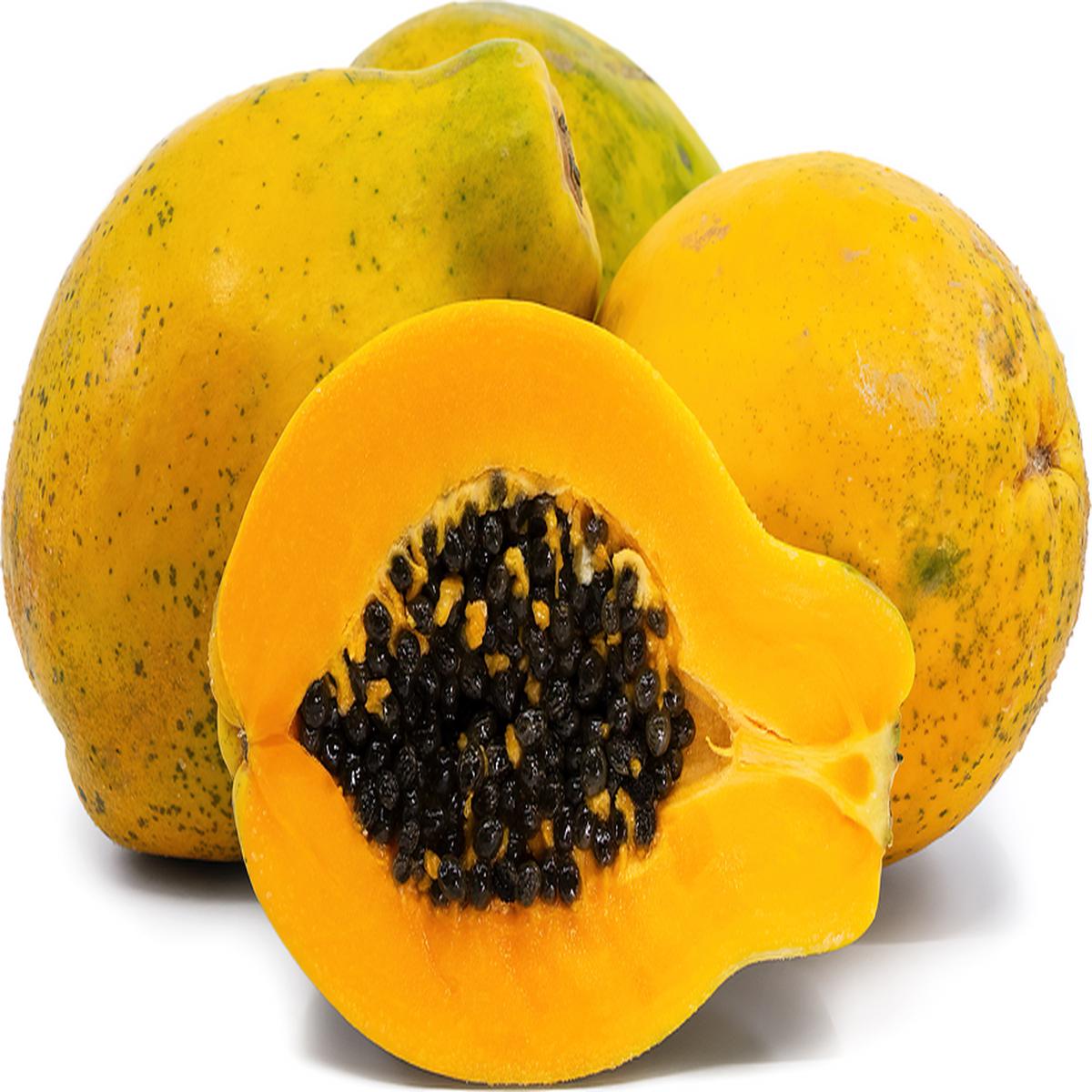 Sunrise Papaya fruit seeds for planting Heirloom & Non-GMO Garden seeds