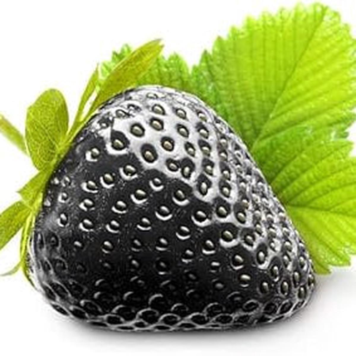 Black Strawberry fruit seeds for planting  Heirloom & Non-GMO garden seeds, rich-flavored unique berry variety
