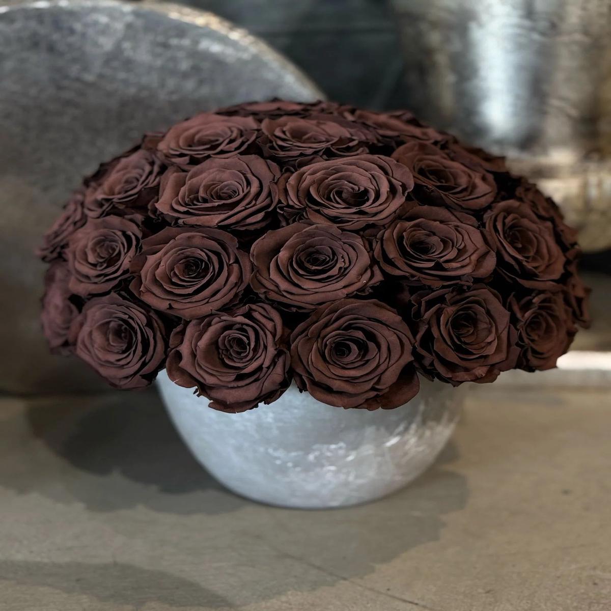 Chocolate Rose Flower Seeds for Planting Heirloom, Non-GMO, Fragrant Blossoms, High Germination