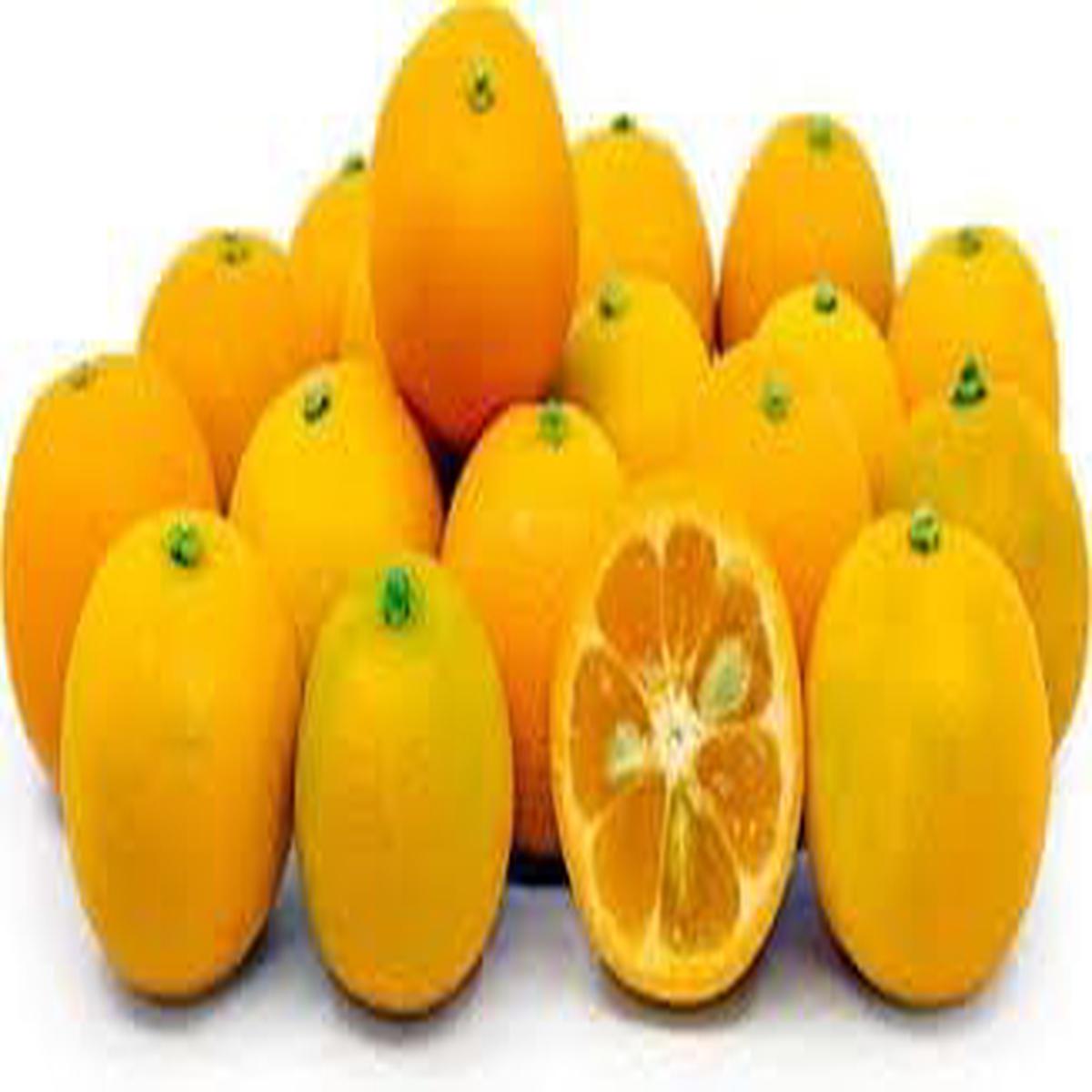Calamondin Vegetable Seeds for Planting  Heirloom Non-GMO, High Germination Organic Garden Seeds