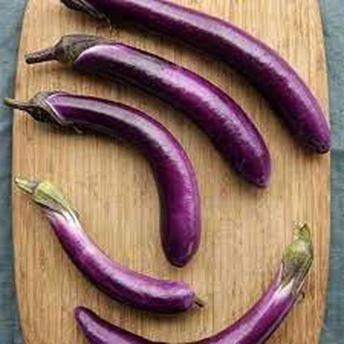 Eggplant Vegetable Seeds for Planting Heirloom, Non-GMO, High Germination Organic Garden Seeds, Versatile for Cooking