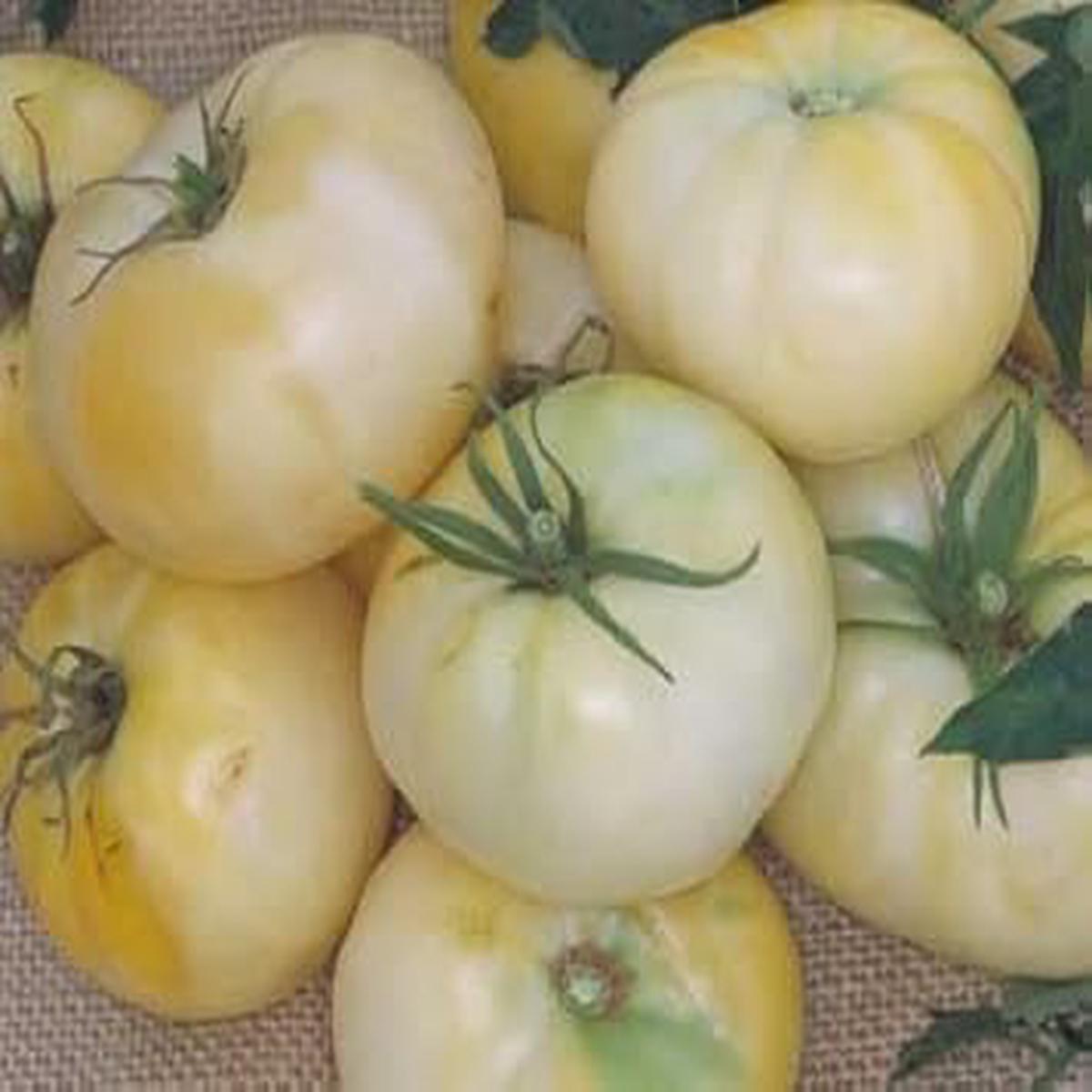 Tomato Seeds for Planting Heirloom & Non-GMO Light Yellow Variety for Vibrant Dishes