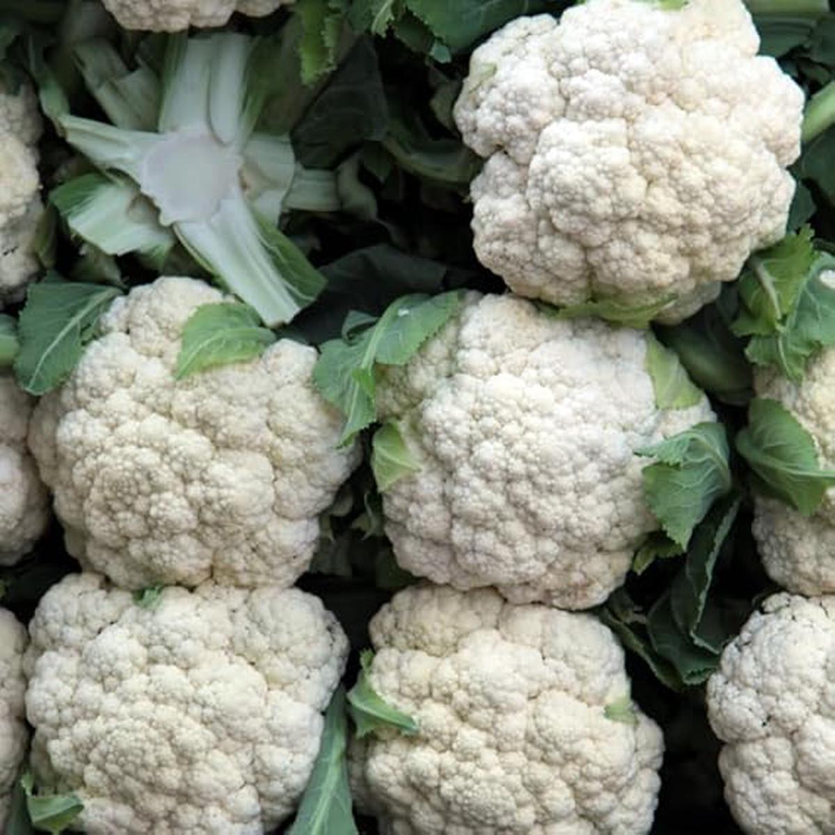 Cauliflower Snowball Seeds  Heirloom, Fast-Growing, High-Yield Variety