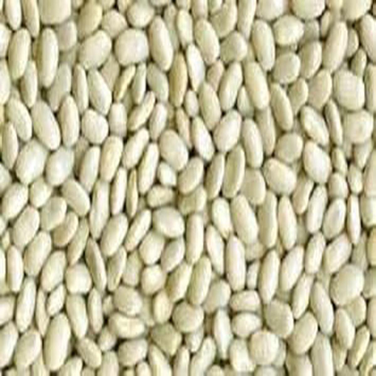 White Bean Vegetable Seeds for Planting Heirloom & Non-GMO Seeds for Protein-Rich, Versatile Garden Harvests