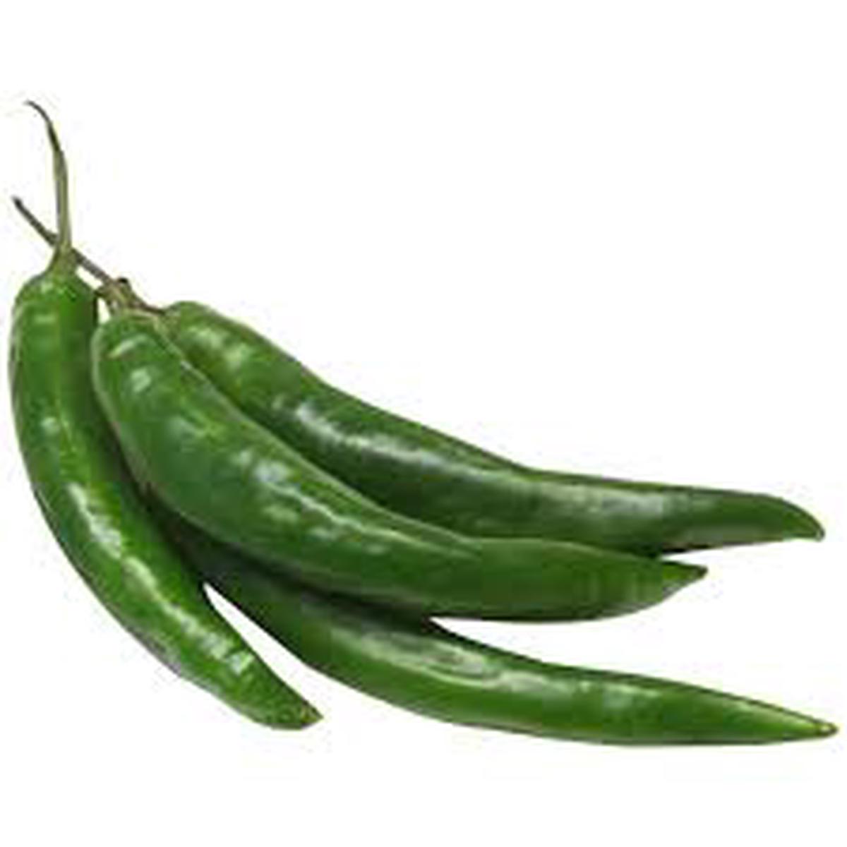 Green Chili Seeds for Planting Heirloom & Non-GMO Vegetable Seeds for Spicy Culinary Gardens