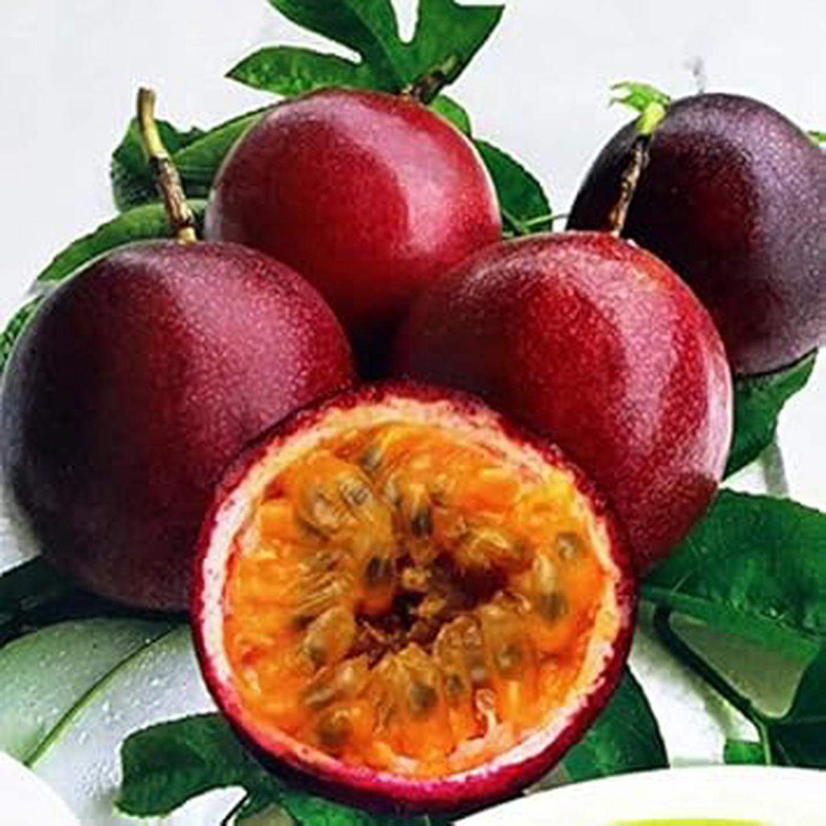 Red Mix Passion Fruit Seeds Tropical Variety, Heirloom & Non-GMO Seeds for Planting