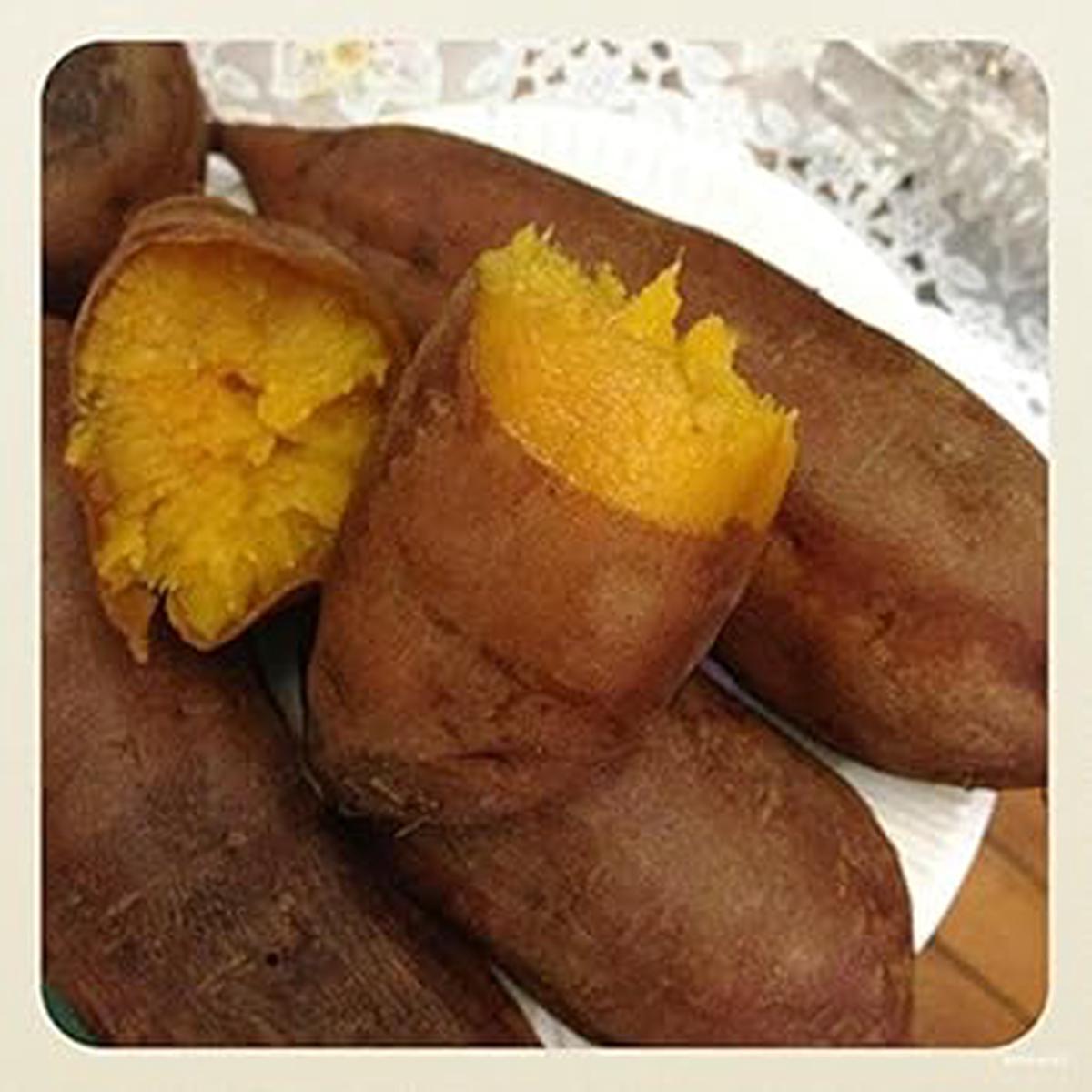Yellow Batatas Potato Vegetable Seeds for Planting Heirloom & Non-GMO Garden Seeds for Nutritious Tubers